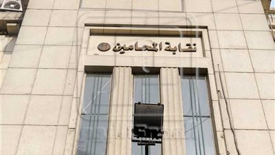 نظر دعوى عدم دستورية تعيين خريجي التعليم المفتوح بنقابة المحامين 6 مارس