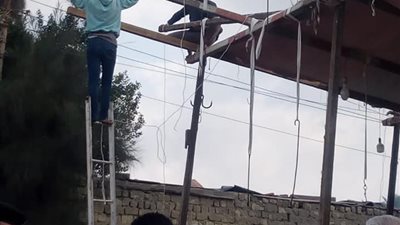 إزالة شادر لحوم في الشرقية.. ورئيس المدينة: 