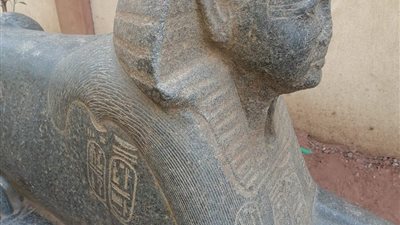 خلال ساعات.. نقل تمثال شبيه أبو الهول من مركز شرطة أبو صوير إلى متحف آثار الإسماعيلية (صور) 