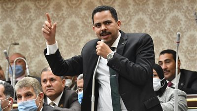 أشرف رشاد يدعو الحكومة لمشاركة البرلمان في صياغة التشريعات التي تمس المواطن