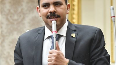 رئيس الأغلبية البرلمانية ينتقد سياسة الحكومة في إعداد التشريعات