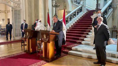 وزير الخارجية السوداني: ضرورة تحرك دبلوماسي إفريقي لمواجهة مخاطر سد النهضة والعودة إلى المفاوضات