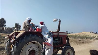 إخصائية طبية تتسلق جرارًا زراعيًا لتطعيم طفل في الحملة القومية ضد شلل الأطفال بالإسماعيلية