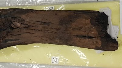 الآثار: فك أجزاء من مركب خوفو وتغليفها تمهيدًا لنقلها لمركز الترميم بالمتحف الكبير  (خاص)