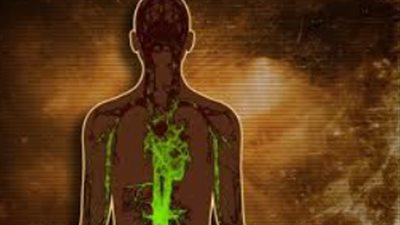 أسباب تكوّن سموم بالجسم وكيفية علاجها والتخلص منها