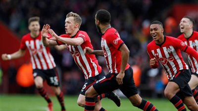 ساوثهامبتون يتخطى شيفيلد بهدفين في الدوري الإنجليزي