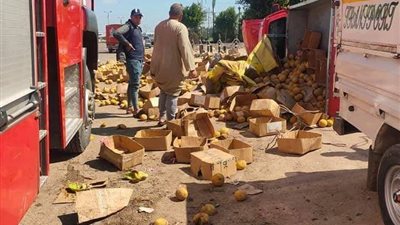 مصرع وإصابة 16 شخصًا في حادث تصادم بالطريق الزراعي في البحيرة (صور)