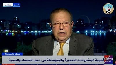 اقتصادي: 60% من المشروعات الصغيرة والمتوسطة موجودة في القطاع غير الرسمي 