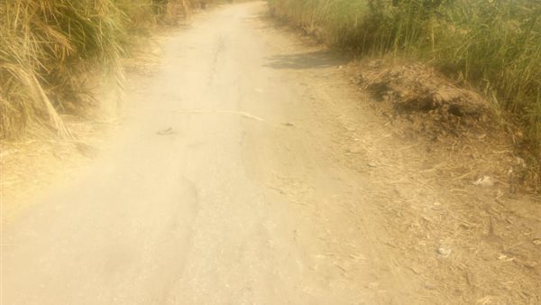 رصف طريق القوصية