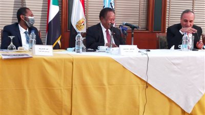 رئيس وزراء السودان: يجب التوصل لتفاهم مشترك حول 