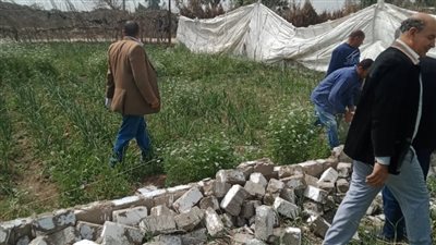 إزالة 12 حالة تعدٍ على أراضي أملاك الدولة بالبحيرة