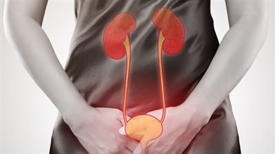 تعرف على أسباب وأعراض التهاب المسالك البولية