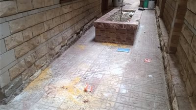 حكاية انتحار عروس أجنبية في الطالبية بالجيزة (تفاصيل)