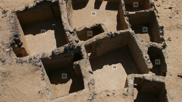 جانب من الاكتشاف