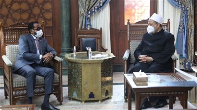 الإمام الأكبر: الأزهر لا يدخر جهدًا في سبيل الارتقاء بالتعليم في إفريقيا