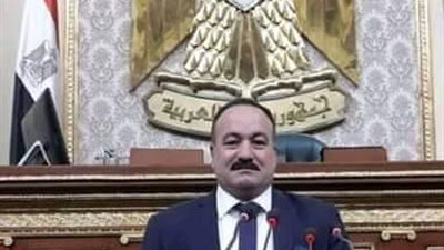 طلب إحاطة للنائب أيمن شكري لتسجيل شهداء ليبيا بمجلس رعاية الشهداء