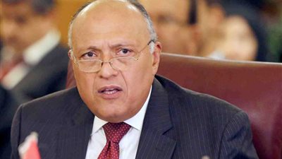 وزير الخارجية: منظمات دولية موجهة لتزييف معلومات ضد الدولة المصرية