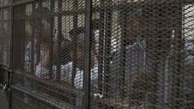 السجن المؤبد للمتهم الرئيسي في 