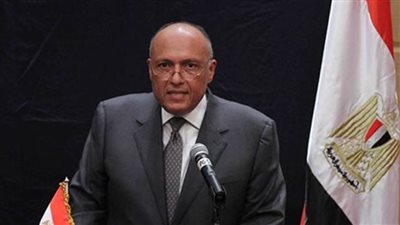 وزير الخارجية: إثيوبيا تعنتت ورفضت العودة للمفاوضات