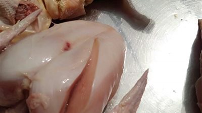 ضبط تاجر في المنوفية يحقن الدواجن بالمياه لزيادة وزنها (صور)