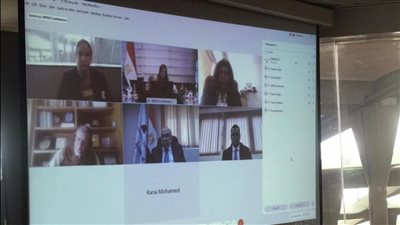 أباظة: الدول لا يمكنها مواجهة آثار جائحة كورونا بمفردها