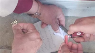 بالشمع الأحمر.. غلق صيدلية بكفر الشيخ لبيع أدوية بدون ترخيص (صور)