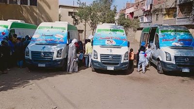 اليوم صحة المنيا تنظم قافلة طبية لأهالي قرية إبشادات
