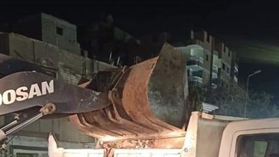 منعًا لانتشار الأوبئة.. رفع 76 طن قمامة ومخلفات بشبرا الخيمة (صور)