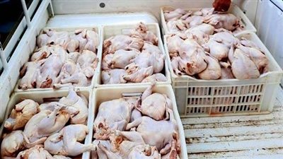 القصة الكاملة لاتهام شقيقي نائب شبين القناطر بقضية دواجن فاسدة