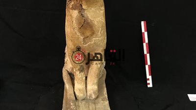 متحف الحضارة: استقبلنا 6 قطع أثرية من المكتشفة حديثًا بسقارة لدراستها وعرضها (خاص)