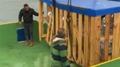  العثور على جثة يُرجح كونها لأحد شهداء لنش بورسعيد بشاطئ في شمال سيناء