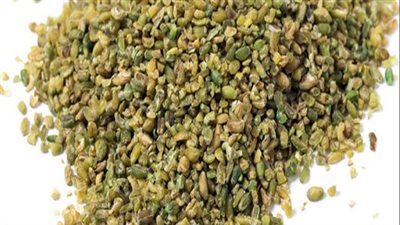  تحافظ على الوزن وتبني العضلات.. تعرف على فوائد الفريكة الخضراء