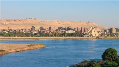 السبت.. بدء موسم توريد البنجر في المنيا