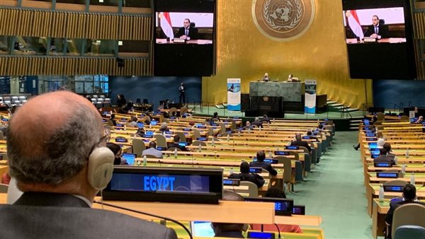 جانب من جلسة الأمم