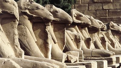 مصدر بالآثار: الانتهاء من ترميم 4 تماثيل لكباش الصف الشمالي بالكرنك 