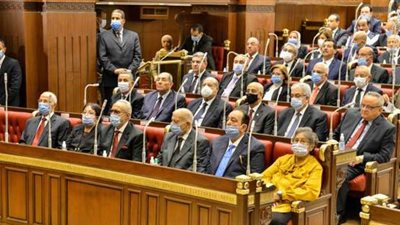 مجلس الشيوخ.. الجلسة العامة تناقش تشريعي الختان وهيئة التعليم الفني اليوم