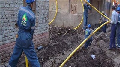 رئيس مدينة إدفو: 