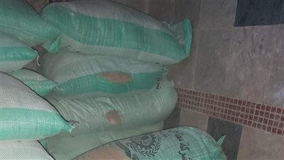 ضبط مسؤل مخبز بلدي استولى على أموال الدعم بالقليوبية 