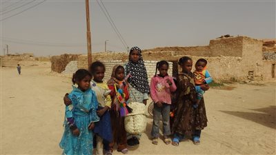 توزيع 9 بطاريات دواجن للسيدات المعيلات بقرية جارة أم الصغير بمطروح (صور)