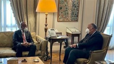 وزير الخارجية يستقبل نظيره الصومالي لبحث التعاون المشترك (صور)