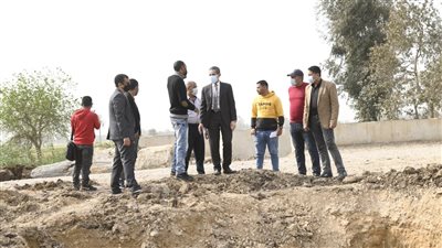 إزالة 295 حالة تعدٍّ على الأراضي الزراعية بالغربية 