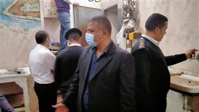 ضبط 11 ذبيحة ضأن مذبوحة خارج المجازر في حملة بالمنوفية