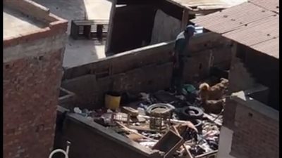 الداخلية تكشف ملابسات فيديو تعذيب الكلاب أعلى سطح منزل بدمياط 