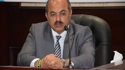 إلغاء فوز هشام حطب.. حكم بإعادة انتخابات رئاسة اتحاد الفروسية
