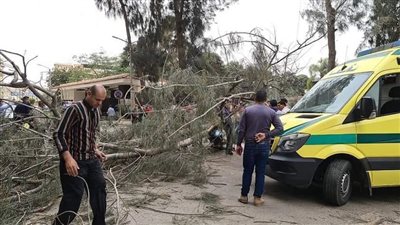 مصرع عامل دليفري إثر سقوط شجرة عليه بسبب سوء الأحوال الجوية بالدقهلية