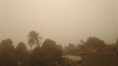 عاصفة ترابية تضرب قرى ومدن سوهاج.. والمحافظة ترفع الطوارئ (صور)