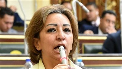 طلب إحاطة لرئيس الوزراء بشأن نظام 