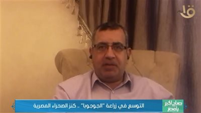 التوسع في زراعة الجوجوبا .. كنز الصحراء الغربية (فيديو)