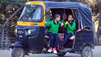 الصناعات الهندسية: إحلال الـ