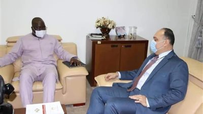 وزير الخارجية الغيني يشيد بالإمكانات المصرية الكبيرة في شتى المجالات